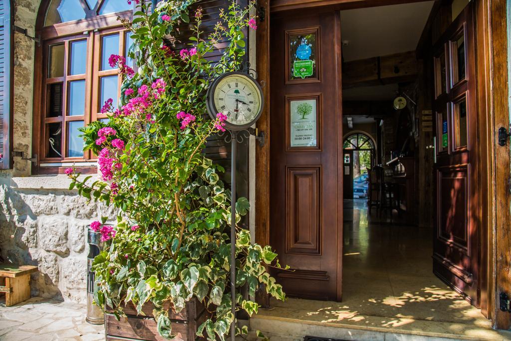 Hotel Carrubba Donja Lastva Exterior photo